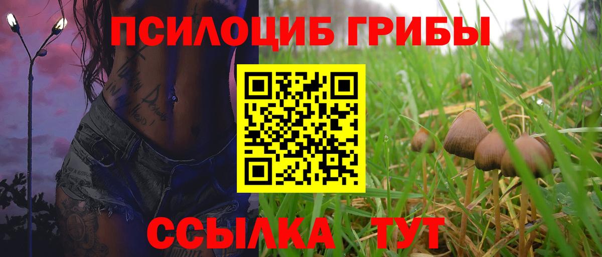 Сосновый Бор  Галлюциногенные грибы Psilocybine cubensis  Вход с VPN  Галлюциногенные грибы мухоморы 